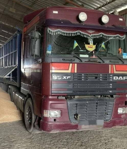 DAF XF 95 - 牵引车:图5 DAF XF 95 - 牵引车:图5