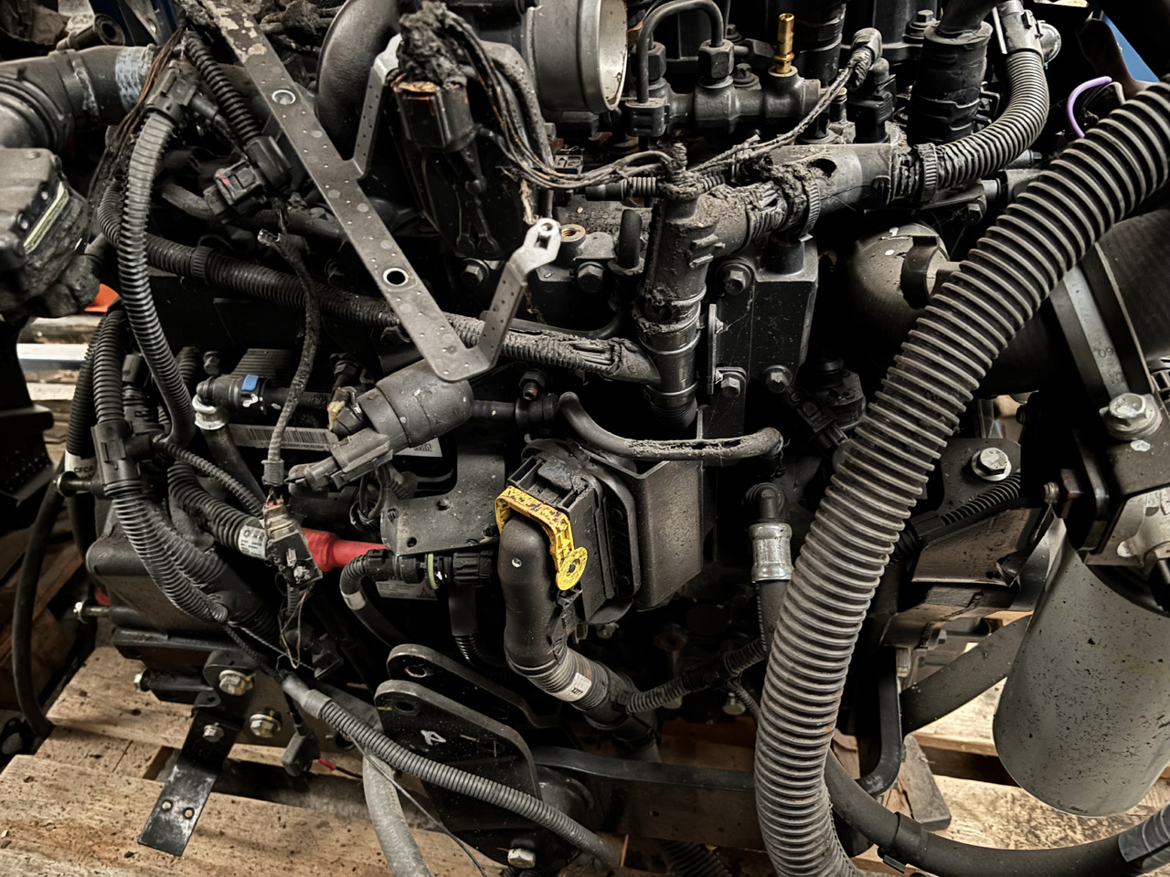 DEUTZ 3.6 75 KM (55.4 kW) Silnik CZĘŚCI Manitou MT1033TCD3.6L04 MT 1033 TCD 3.6 L04 C4DI90 - 发动机及其零件 适用于 建筑机械:图4 DEUTZ 3.6 75 KM (55.4 kW) Silnik CZĘŚCI Manitou MT1033TCD3.6L04 MT 1033 TCD 3.6 L04 C4DI90 - 发动机及其零件 适用于 建筑机械:图4