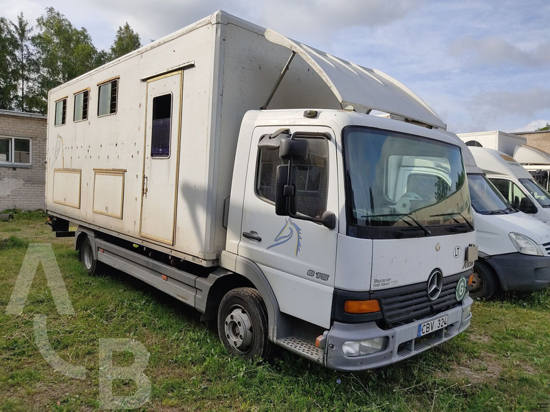 Mercedes-Benz 815 - 马匹运输车:图1 Mercedes-Benz 815 - 马匹运输车:图1