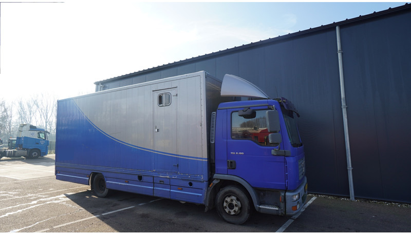 MAN TGL 8.180 HORSE TRANPORT 515.000KM - 马匹运输车:图4 MAN TGL 8.180 HORSE TRANPORT 515.000KM - 马匹运输车:图4
