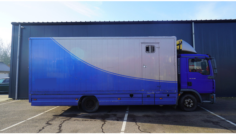 MAN TGL 8.180 HORSE TRANPORT 515.000KM - 马匹运输车:图2 MAN TGL 8.180 HORSE TRANPORT 515.000KM - 马匹运输车:图2