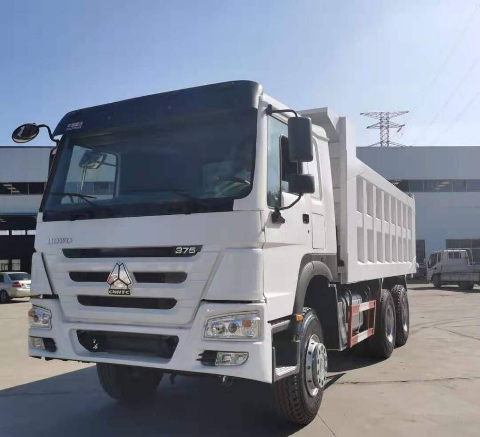 Sinotruk HOWO 6*4 Dump truck - 翻斗车:图1 Sinotruk HOWO 6*4 Dump truck - 翻斗车:图1