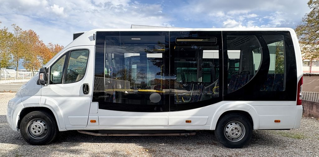 FIAT CITY 21 - 城市巴士:图3 FIAT CITY 21 - 城市巴士:图3