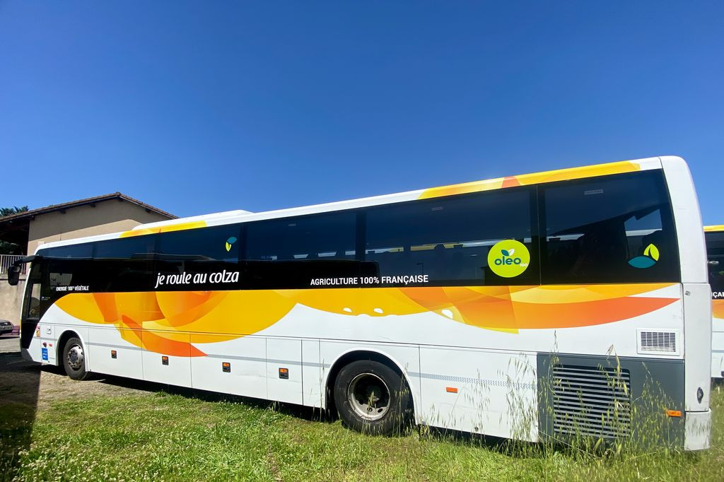 TEMSA SAFARI RD - 长途客车:图4 TEMSA SAFARI RD - 长途客车:图4