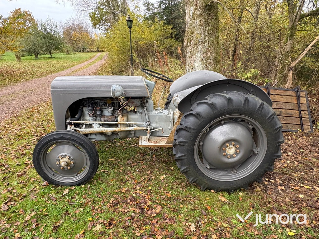 Grolle Massey Fergusson - 拖拉机:图3 Grolle Massey Fergusson - 拖拉机:图3