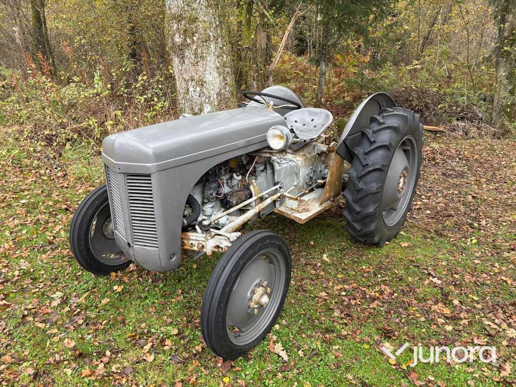 Grolle Massey Fergusson - 拖拉机:图2 Grolle Massey Fergusson - 拖拉机:图2