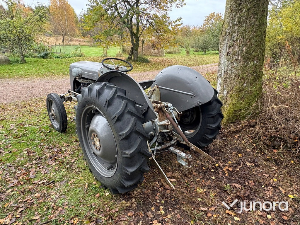 Grolle Massey Fergusson - 拖拉机:图4 Grolle Massey Fergusson - 拖拉机:图4