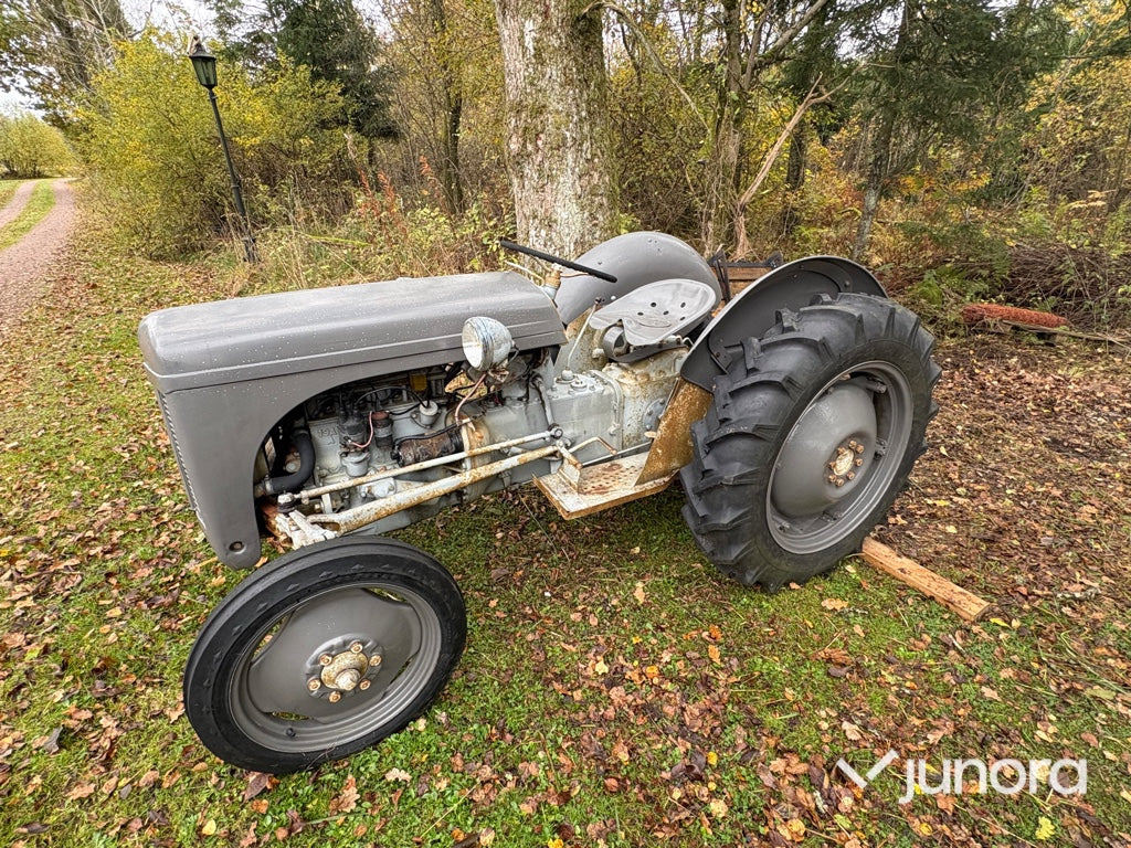 Grolle Massey Fergusson - 拖拉机:图1 Grolle Massey Fergusson - 拖拉机:图1