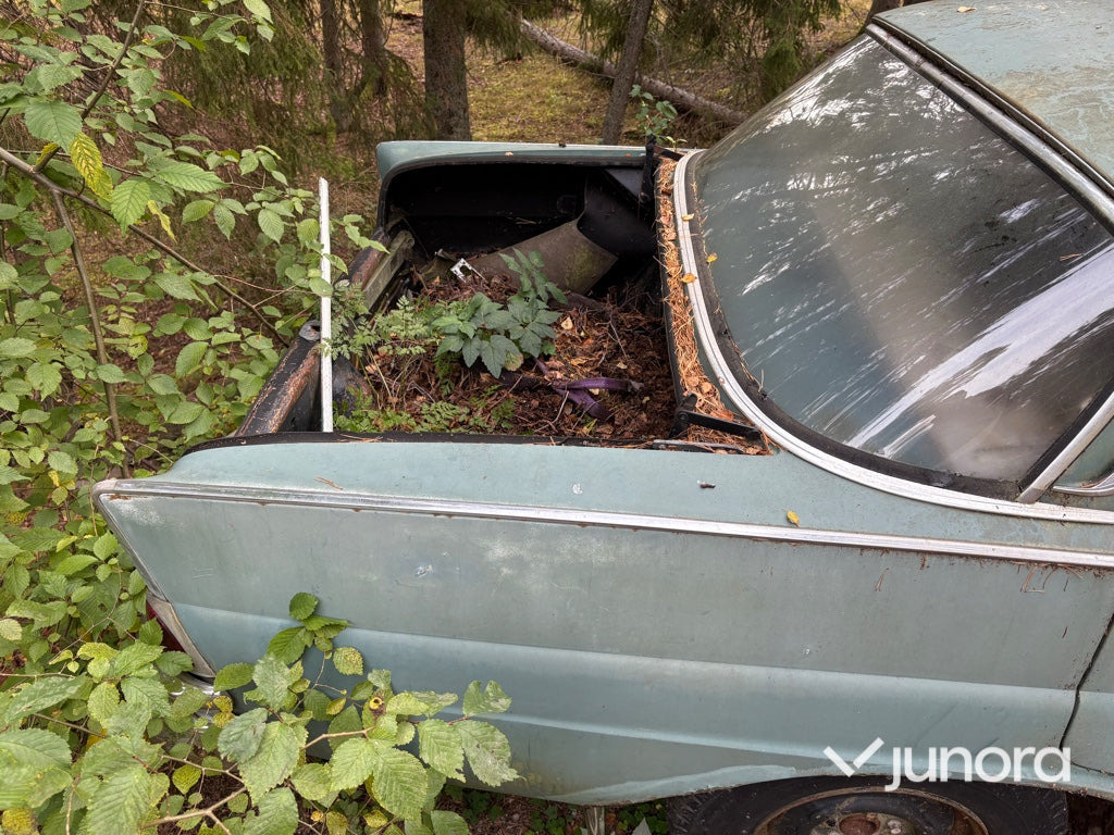 Renoveringsobjekt - Mercedes-Benz 220 S - 汽车:图5 Renoveringsobjekt - Mercedes-Benz 220 S - 汽车:图5