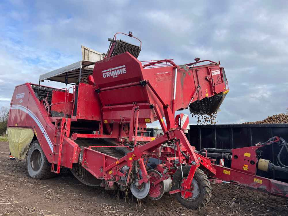 Grimme SE-260-UB - 收割机:图1 Grimme SE-260-UB - 收割机:图1