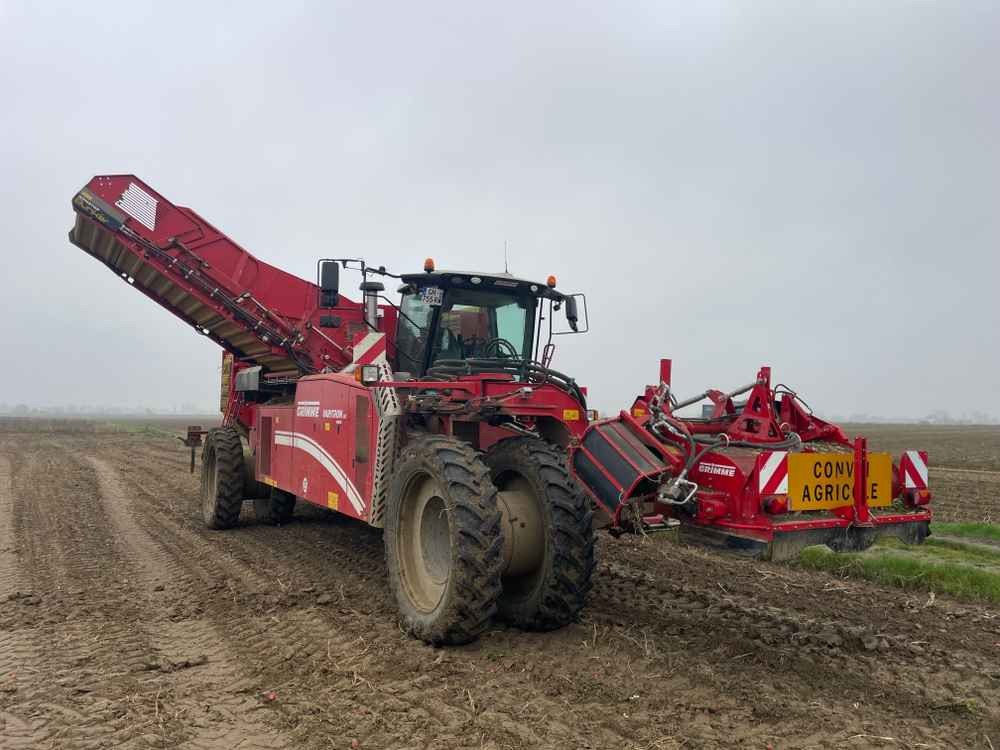 Grimme VARITRON 270 RS VARIO MULTISEP - 收割机:图3 Grimme VARITRON 270 RS VARIO MULTISEP - 收割机:图3