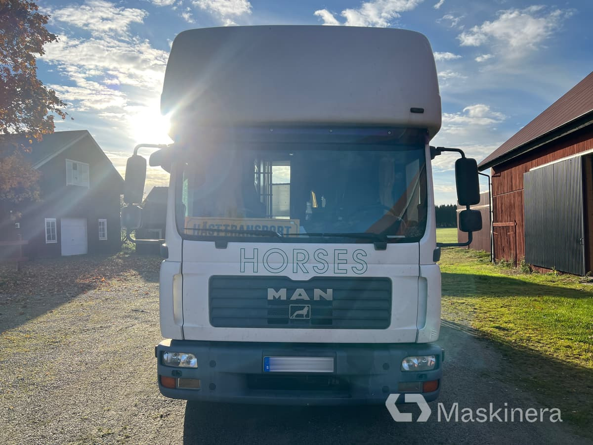 Hästlastbil MAN TGL 10.210 4X2 BL - 马匹运输车:图2 Hästlastbil MAN TGL 10.210 4X2 BL - 马匹运输车:图2