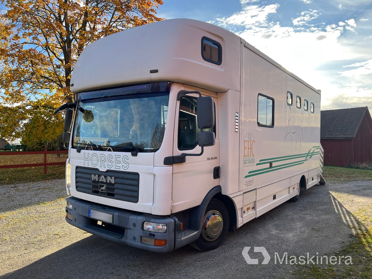 Hästlastbil MAN TGL 10.210 4X2 BL - 马匹运输车:图1 Hästlastbil MAN TGL 10.210 4X2 BL - 马匹运输车:图1