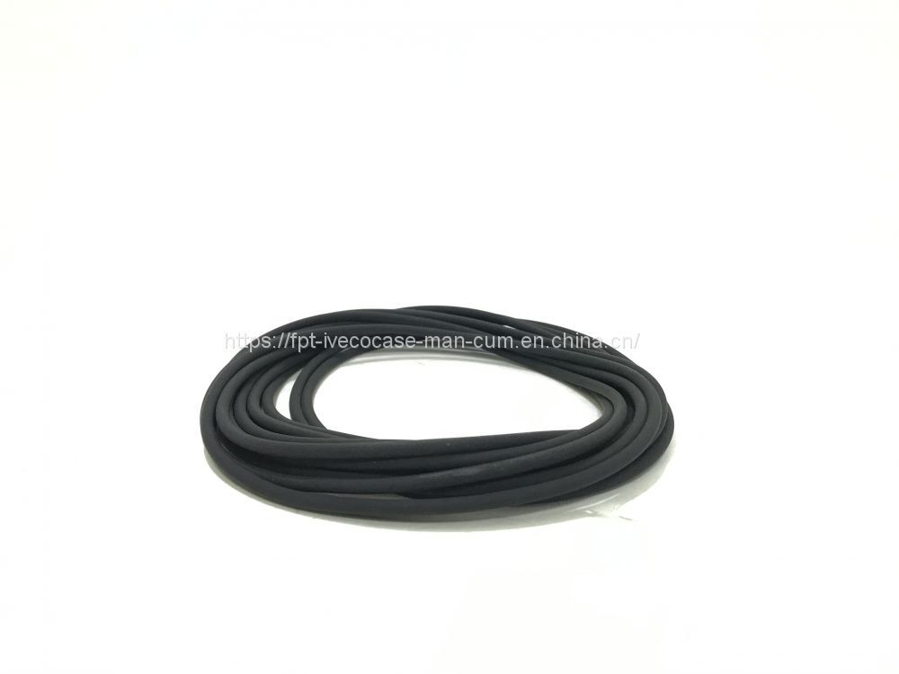 FPT IVECO CASE Cursor11 F3GFE613A B001 5801863562/5801690111 Liner seal ring 504372471 - 活塞/环/ 衬套:图2 FPT IVECO CASE Cursor11 F3GFE613A B001 5801863562/5801690111 Liner seal ring 504372471 - 活塞/环/ 衬套:图2