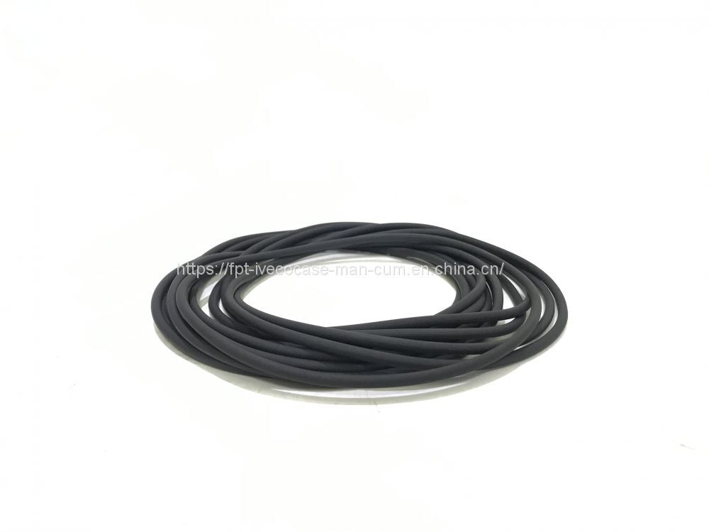 FPT IVECO CASE Cursor11 F3GFE613A B001 5801863562/5801690111 Liner seal ring 504372471 - 活塞/环/ 衬套:图1 FPT IVECO CASE Cursor11 F3GFE613A B001 5801863562/5801690111 Liner seal ring 504372471 - 活塞/环/ 衬套:图1