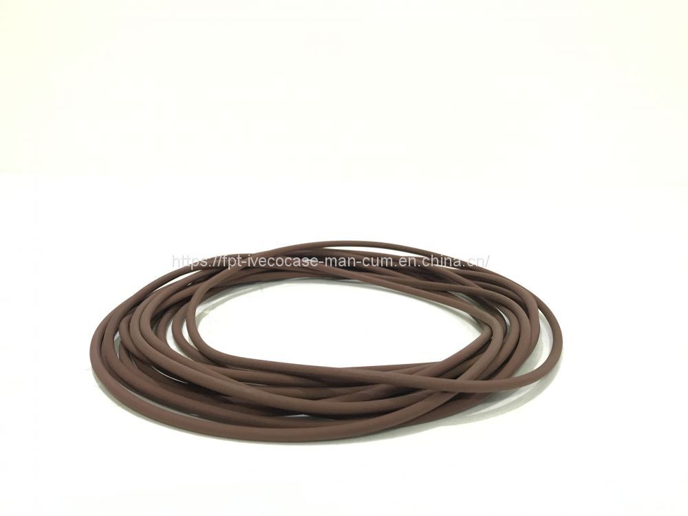 FPT IVECO CASE Cursor11 F3GFE613A B001 5801863562/5801690111 Liner seal ring 504372472 - 活塞/环/ 衬套:图2 FPT IVECO CASE Cursor11 F3GFE613A B001 5801863562/5801690111 Liner seal ring 504372472 - 活塞/环/ 衬套:图2