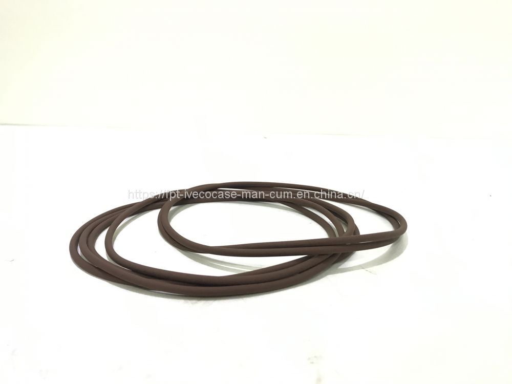 FPT IVECO CASE Cursor11 F3GFE613A B001 5801863562/5801690111 Liner seal ring 504372472 - 活塞/环/ 衬套:图1 FPT IVECO CASE Cursor11 F3GFE613A B001 5801863562/5801690111 Liner seal ring 504372472 - 活塞/环/ 衬套:图1