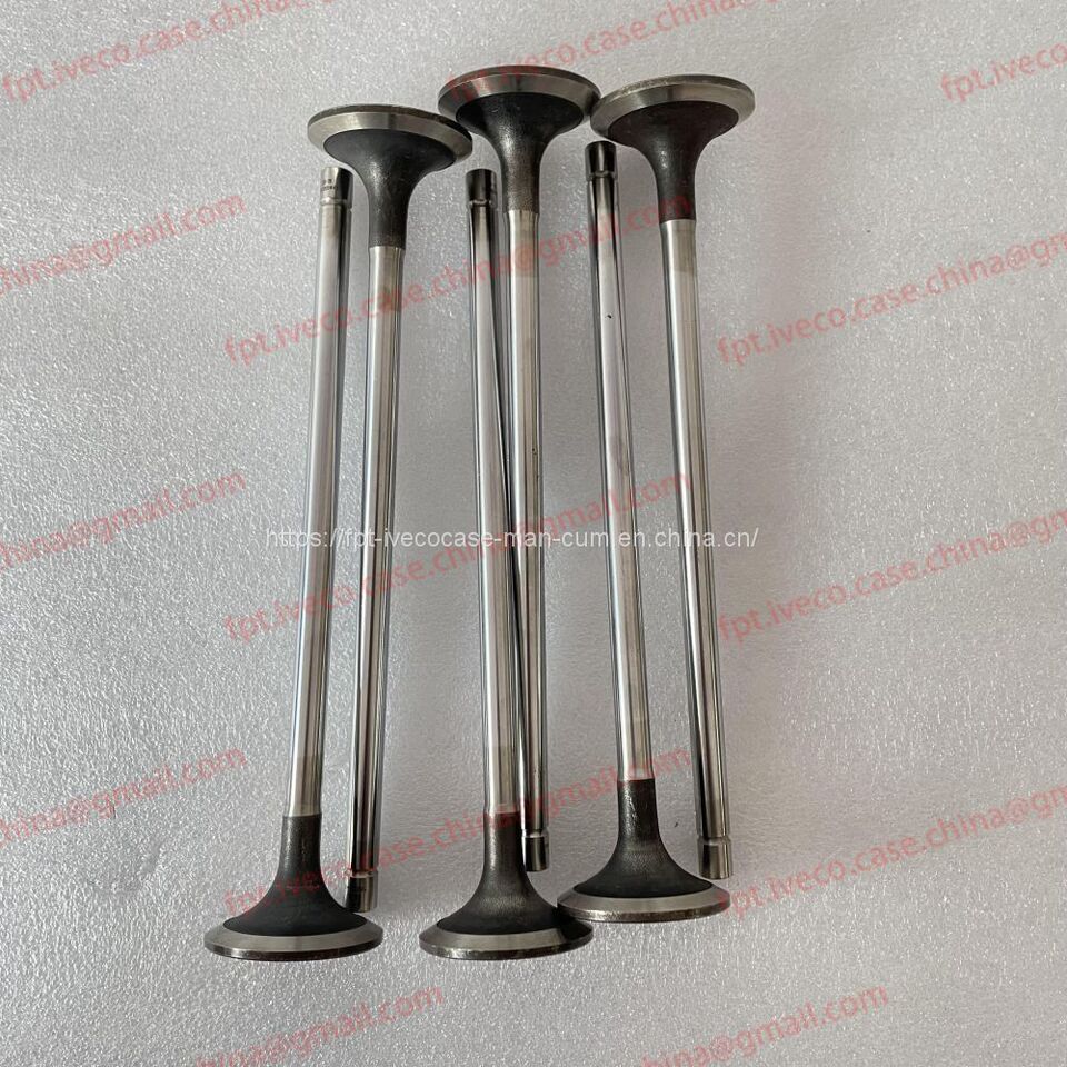 FPT IVECO CASE Cursor11 F3GFE613A B001 5801863562/5801690111 valve 5801487019 - 阀门:图1 FPT IVECO CASE Cursor11 F3GFE613A B001 5801863562/5801690111 valve 5801487019 - 阀门:图1