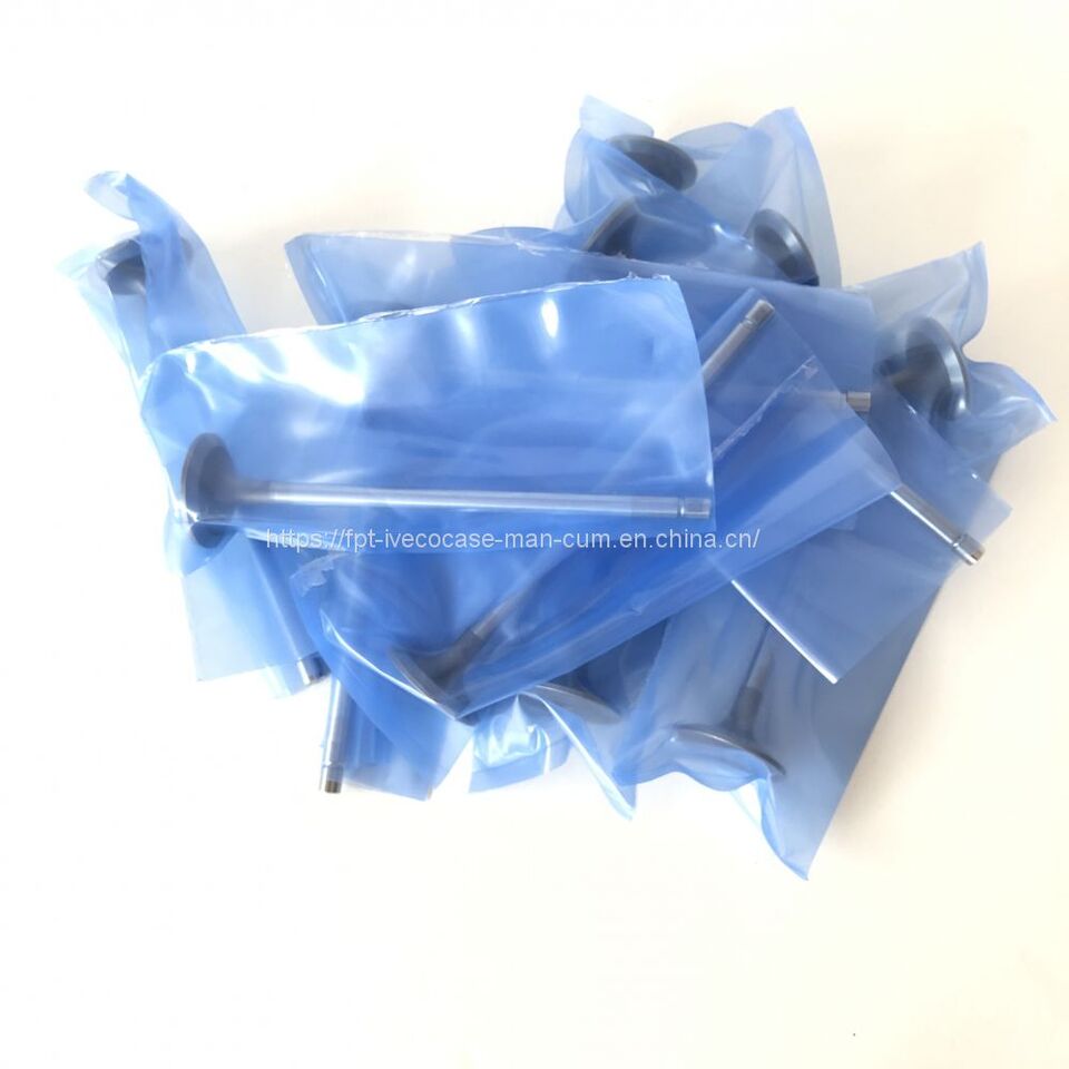 FPT IVECO CASE Cursor9Bus F2CFE612D*J231/F2CFE612A*J098 5802748674 EXHAUST VALVE 5801506352 - 阀门 适用于 巴士:图3 FPT IVECO CASE Cursor9Bus F2CFE612D*J231/F2CFE612A*J098 5802748674 EXHAUST VALVE 5801506352 - 阀门 适用于 巴士:图3