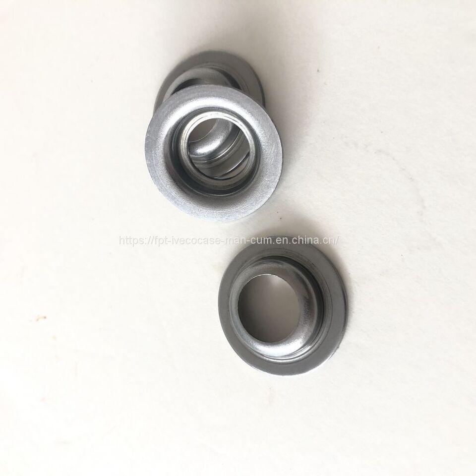 FPT IVECO CASE Cursor9Bus F2CFE612D*J231/F2CFE612A*J098 5802748674 valve-spring retainer 504129182 - 阀门 适用于 巴士:图1 FPT IVECO CASE Cursor9Bus F2CFE612D*J231/F2CFE612A*J098 5802748674 valve-spring retainer 504129182 - 阀门 适用于 巴士:图1