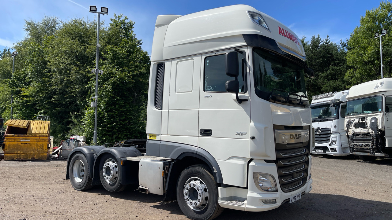 DAF XF 480 - 牵引车:图1 DAF XF 480 - 牵引车:图1
