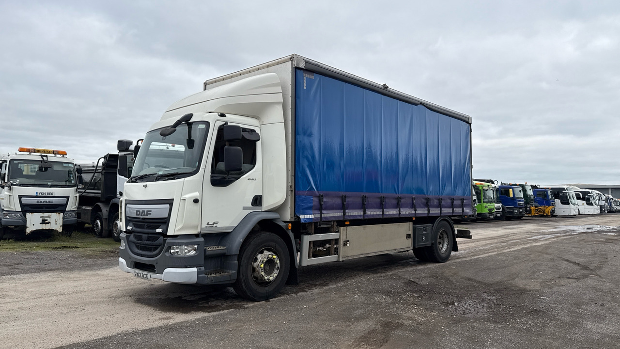 Daf LF 260 - 侧帘卡车:图2 Daf LF 260 - 侧帘卡车:图2