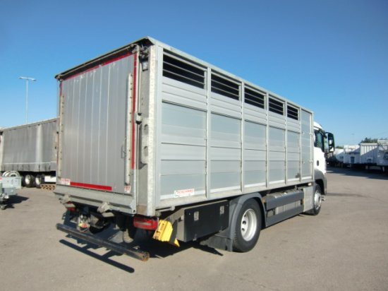 MAN TGS 18.420 Tiertransporter,Euro 6, Manual Seilwinde, el. Ladebordwand Voll Luft - 马匹运输车:图4 MAN TGS 18.420 Tiertransporter,Euro 6, Manual Seilwinde, el. Ladebordwand Voll Luft - 马匹运输车:图4