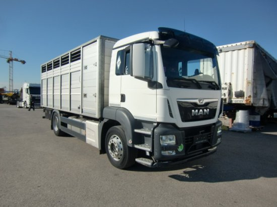 MAN TGS 18.420 Tiertransporter,Euro 6, Manual Seilwinde, el. Ladebordwand Voll Luft - 马匹运输车:图3 MAN TGS 18.420 Tiertransporter,Euro 6, Manual Seilwinde, el. Ladebordwand Voll Luft - 马匹运输车:图3