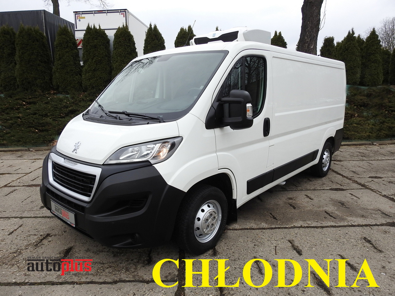 PEUGEOT BOXER REFRIGERATOR VAN -5*C TWO COMPARTMENTS CRUISE CONTROL AIR CONDITIONING 120HP - 冷藏货车:图1 PEUGEOT BOXER REFRIGERATOR VAN -5*C TWO COMPARTMENTS CRUISE CONTROL AIR CONDITIONING 120HP - 冷藏货车:图1