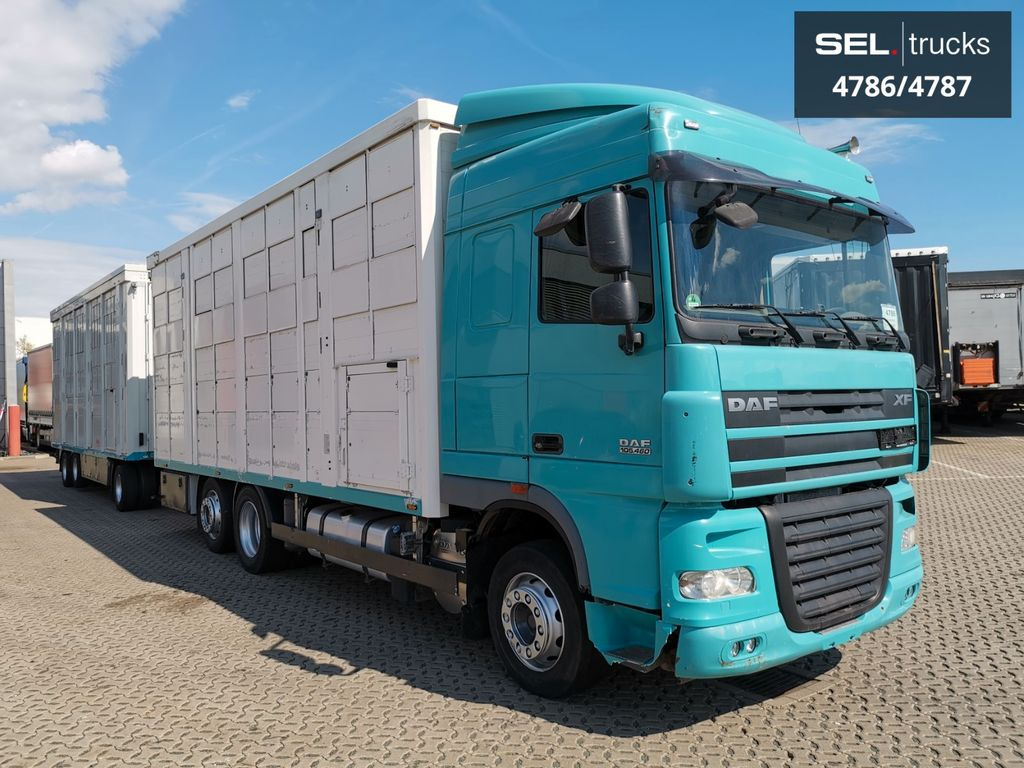DAF XF 105.460 / Intarder / 4 Stock / KOMPLETT ! DAF XF 105.460 / Intarder / 4 Stock / KOMPLETT ! - 牲畜运输车:图4 DAF XF 105.460 / Intarder / 4 Stock / KOMPLETT ! DAF XF 105.460 / Intarder / 4 Stock / KOMPLETT ! - 牲畜运输车:图4