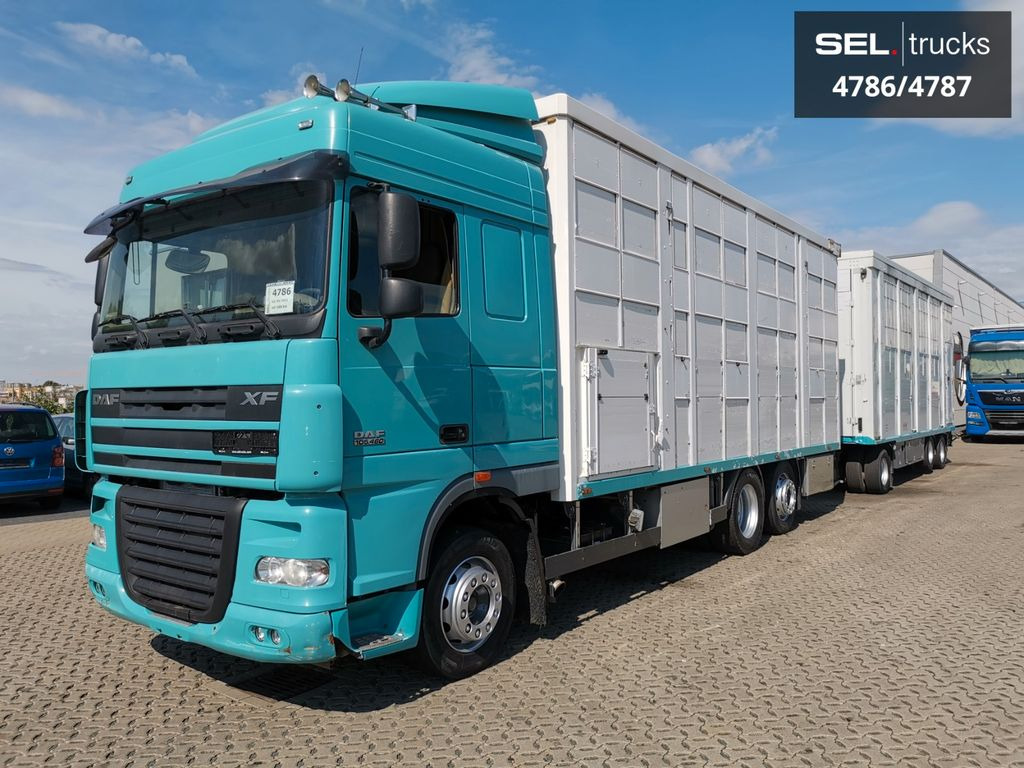 DAF XF 105.460 / Intarder / 4 Stock / KOMPLETT ! DAF XF 105.460 / Intarder / 4 Stock / KOMPLETT ! - 牲畜运输车:图2 DAF XF 105.460 / Intarder / 4 Stock / KOMPLETT ! DAF XF 105.460 / Intarder / 4 Stock / KOMPLETT ! - 牲畜运输车:图2