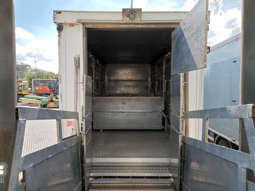 牲畜运输车 DAF XF 105.460  / Intarder / 4 Stock / KOMPLETT !：图10