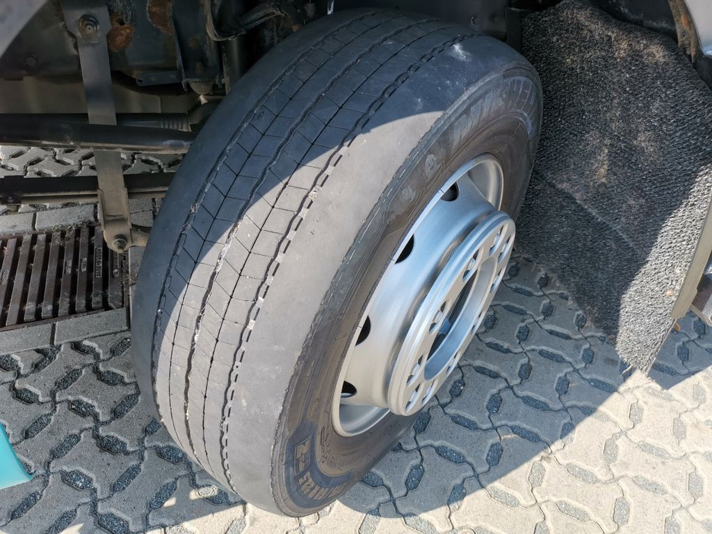 牲畜运输车 DAF XF 105.460  / Intarder / 4 Stock / KOMPLETT !：图17