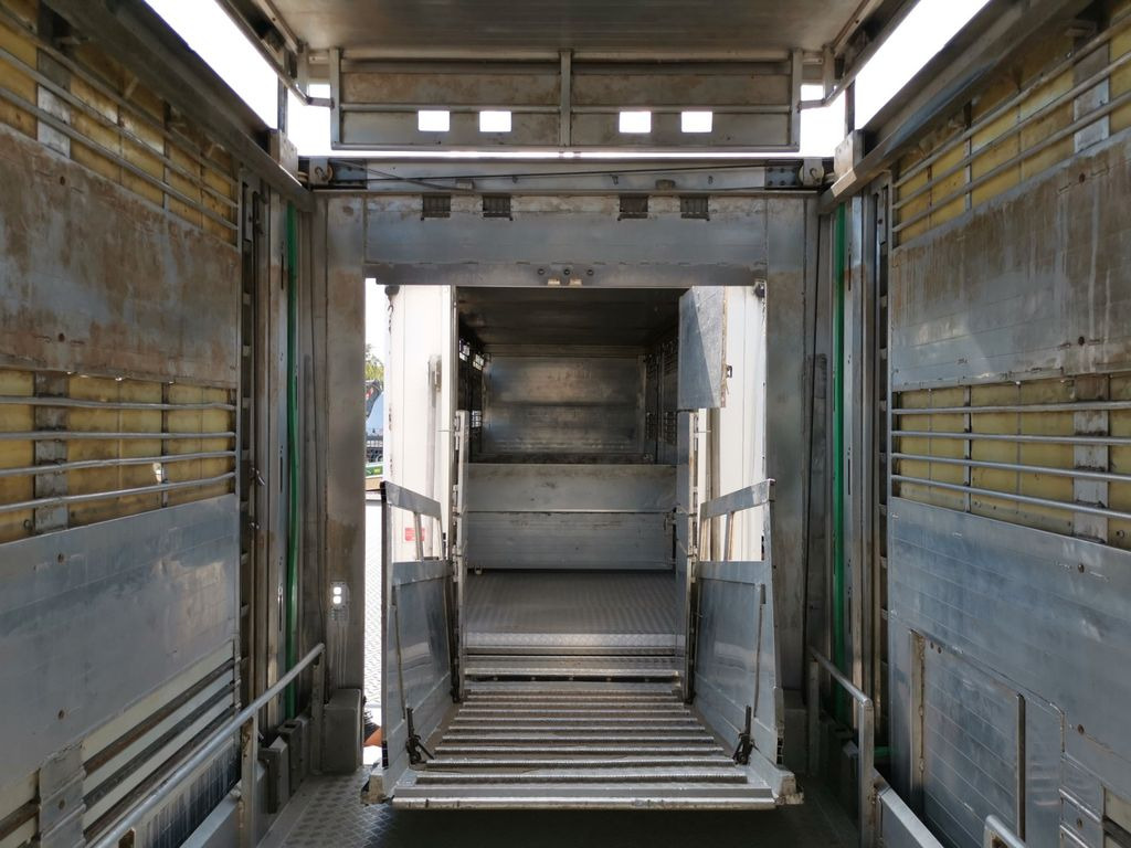 牲畜运输车 DAF XF 105.460  / Intarder / 4 Stock / KOMPLETT !：图9