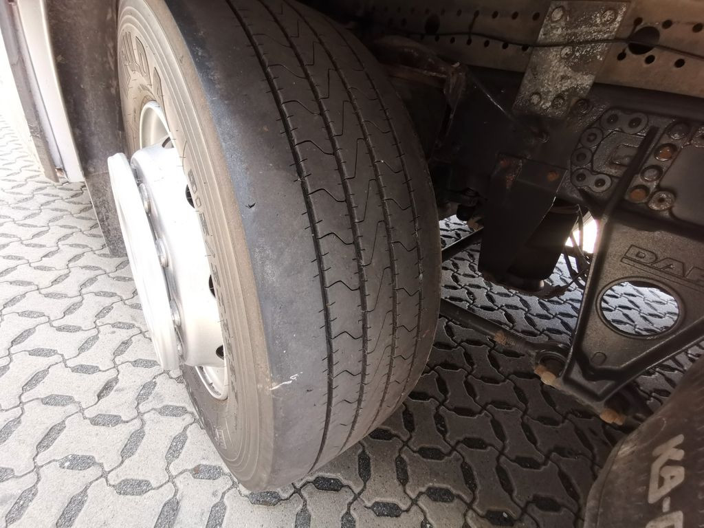 牲畜运输车 DAF XF 105.460  / Intarder / 4 Stock / KOMPLETT !：图22