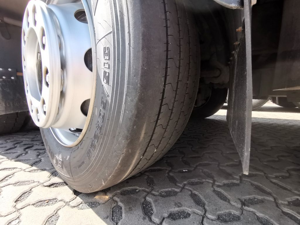 牲畜运输车 DAF XF 105.460  / Intarder / 4 Stock / KOMPLETT !：图20