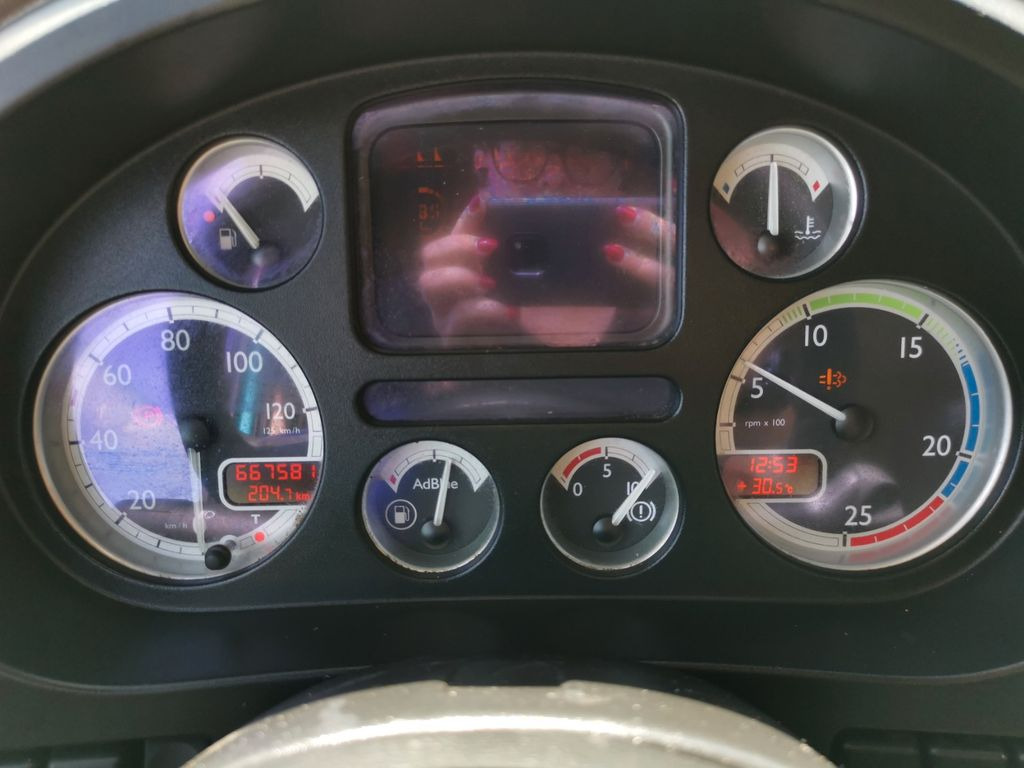 牲畜运输车 DAF XF 105.460  / Intarder / 4 Stock / KOMPLETT !：图15