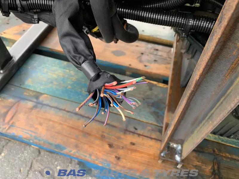 Mercedes-Benz Atego MP4 Motor Mercedes OM934.913 230 A 002 010 65 00 - 发动机 适用于 卡车:图5 Mercedes-Benz Atego MP4 Motor Mercedes OM934.913 230 A 002 010 65 00 - 发动机 适用于 卡车:图5