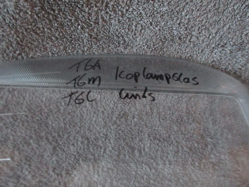 MAN 81.25110-0080 LINKS // 81.25110-0081 RECGTS KOPLAMP GLAS TGA TGM TGL NIEUWE !! - 前照灯 适用于 卡车:图3 MAN 81.25110-0080 LINKS // 81.25110-0081 RECGTS KOPLAMP GLAS TGA TGM TGL NIEUWE !! - 前照灯 适用于 卡车:图3