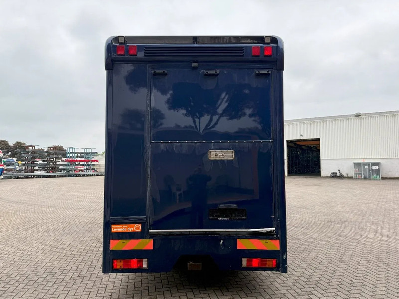 Mercedes-Benz Atego 1223 / ENGINE RUNNING / ONLY:159450 KM / HORSETRUCK / HEATED BOX / WATERTANK / LIVING ROOM / EURO-2 / MANUAL / 1998 - 马匹运输车:图4 Mercedes-Benz Atego 1223 / ENGINE RUNNING / ONLY:159450 KM / HORSETRUCK / HEATED BOX / WATERTANK / LIVING ROOM / EURO-2 / MANUAL / 1998 - 马匹运输车:图4