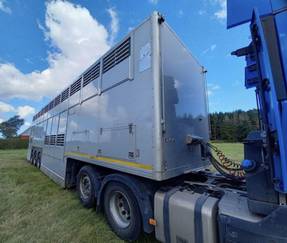 Gray and Adams Gadd3 / Works Great / Hydraulic / 2 Levels - 牲畜运输半拖车:图4 Gray and Adams Gadd3 / Works Great / Hydraulic / 2 Levels - 牲畜运输半拖车:图4