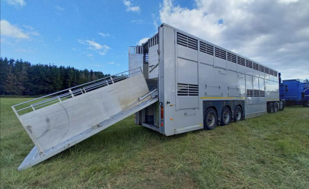 Gray and Adams Gadd3 / Works Great / Hydraulic / 2 Levels - 牲畜运输半拖车:图2 Gray and Adams Gadd3 / Works Great / Hydraulic / 2 Levels - 牲畜运输半拖车:图2