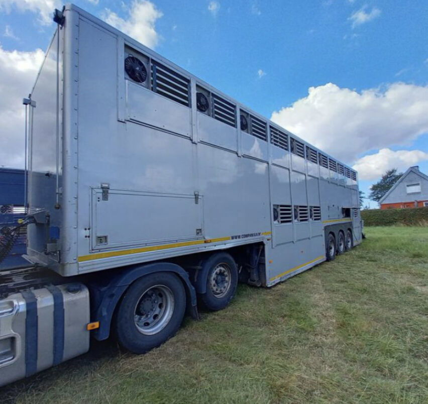 Gray and Adams Gray and Adams Gadd3 / Works Great / Hydraulic / 2 Levels - 牲畜运输半拖车:图5 Gray and Adams Gray and Adams Gadd3 / Works Great / Hydraulic / 2 Levels - 牲畜运输半拖车:图5