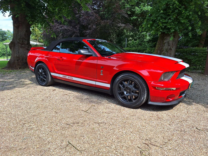 Ford Mustang FORD MUSTANG SHELBY GT500 COBRA 5.4 V8 gt500 cabrio originele - 汽车:图4 Ford Mustang FORD MUSTANG SHELBY GT500 COBRA 5.4 V8 gt500 cabrio originele - 汽车:图4