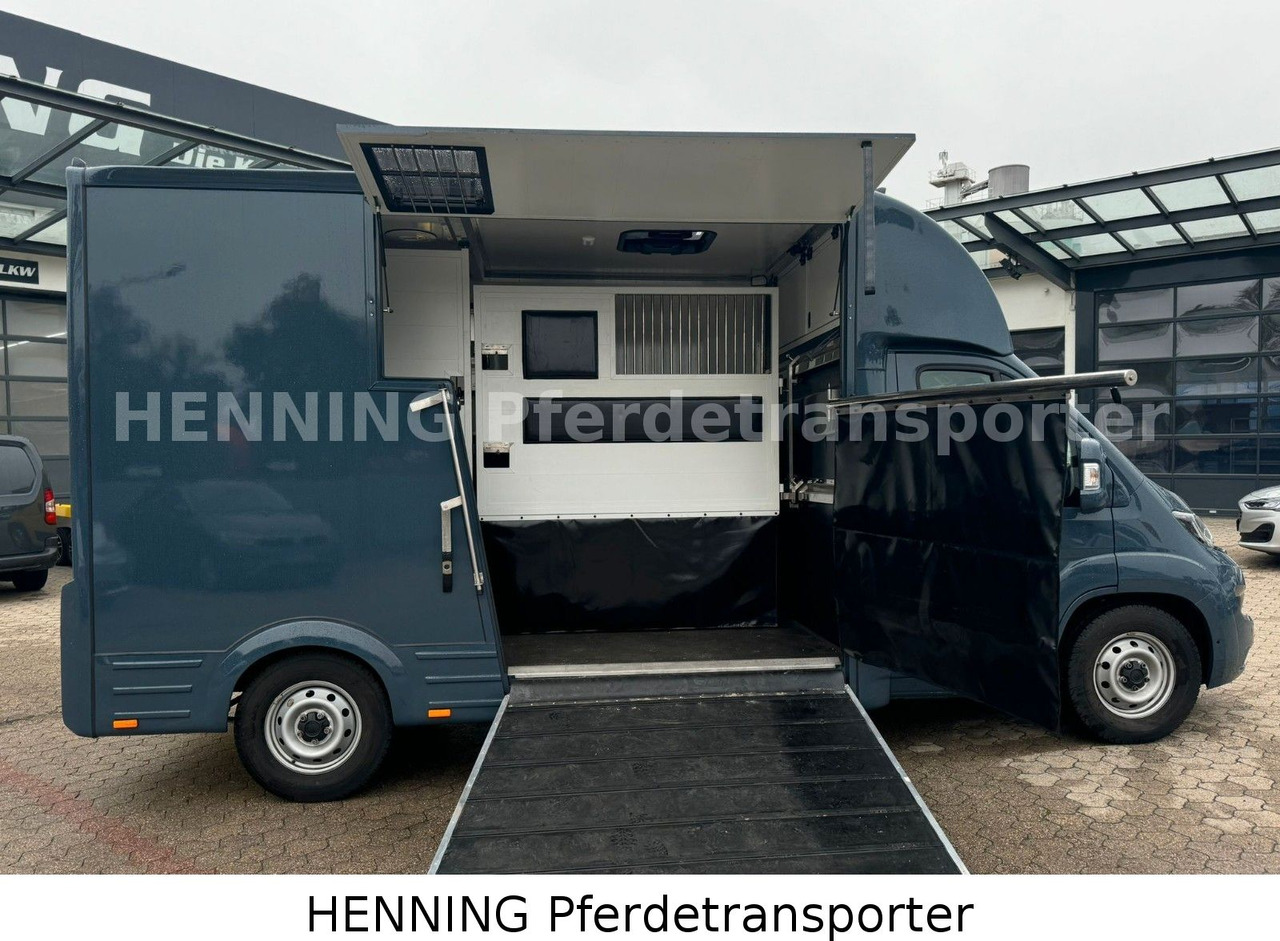 Fiat Ducato *AUTOMATIK* 3 - Sitzer - 牲畜运输车:图4 Fiat Ducato *AUTOMATIK* 3 - Sitzer - 牲畜运输车:图4