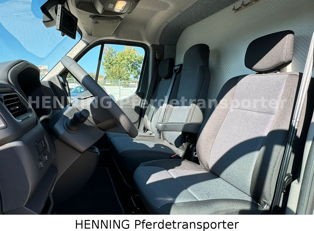 Nissan Interstar 3 - Sitzer - 牲畜运输车:图5 Nissan Interstar 3 - Sitzer - 牲畜运输车:图5