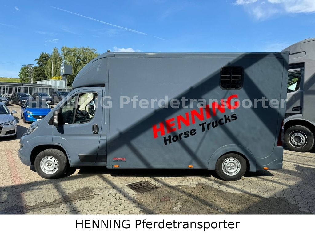 马匹运输车 Opel Movano 3 - Sitzer *AUFBAU NEU* Opel Movano 3 - Sitzer *AUFBAU NEU*:图10 马匹运输车 Opel Movano 3 - Sitzer *AUFBAU NEU* Opel Movano 3 - Sitzer *AUFBAU NEU*:图10