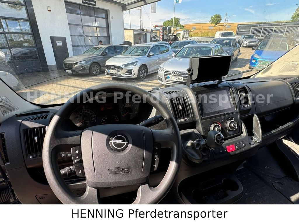 马匹运输车 Opel Movano 3 - Sitzer *AUFBAU NEU* Opel Movano 3 - Sitzer *AUFBAU NEU*:图12 马匹运输车 Opel Movano 3 - Sitzer *AUFBAU NEU* Opel Movano 3 - Sitzer *AUFBAU NEU*:图12