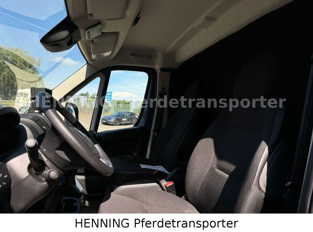 马匹运输车 Opel Movano 3 - Sitzer *AUFBAU NEU* Opel Movano 3 - Sitzer *AUFBAU NEU*:图11 马匹运输车 Opel Movano 3 - Sitzer *AUFBAU NEU* Opel Movano 3 - Sitzer *AUFBAU NEU*:图11