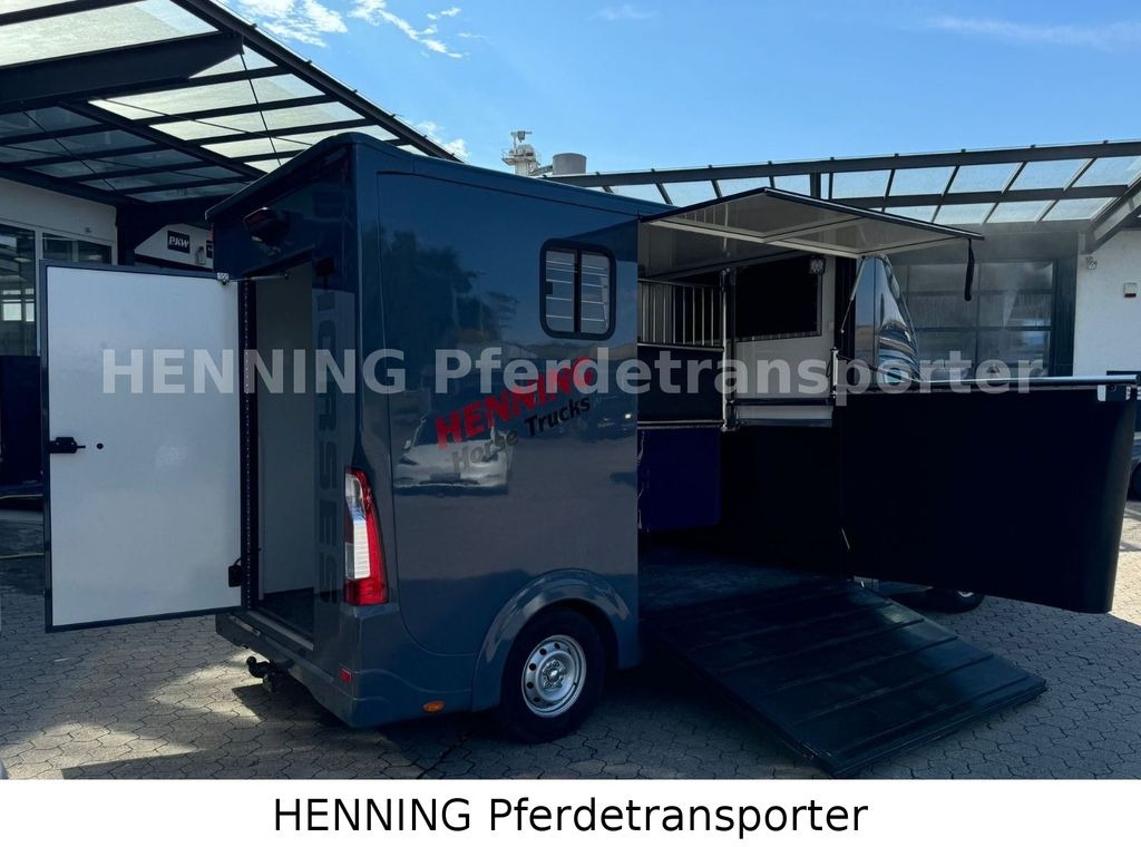 Opel Movano 3 - Sitzer *AUFBAU NEU* Opel Movano 3 - Sitzer *AUFBAU NEU* - 马匹运输车:图3 Opel Movano 3 - Sitzer *AUFBAU NEU* Opel Movano 3 - Sitzer *AUFBAU NEU* - 马匹运输车:图3